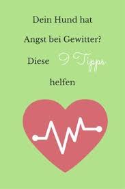 9 Tipps Gegen Gewitterangst Beim Hund Hunde Gewitter Hund Beschaftigen