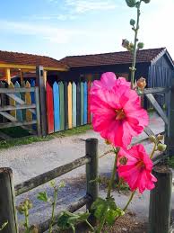 05 46 06 17 48. Location Vacances Saint Georges De Didonne Sans Commission