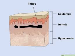 You will also experience no skin damage issues. 3 Ways To Practice Tattooing Wikihow