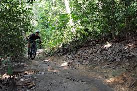 I find the track confusing as there's no signage. Dirt Diaries Exploring Bukit Kiara S Trails
