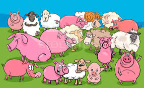 Super cute and nice fur. Pigs And Sheep Farm Animal Characters Group Vector Illustration C Izakowski 9154198 Stockfresh