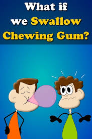 What If We Swallow Gum Chewing Gum Gum Gum Stick