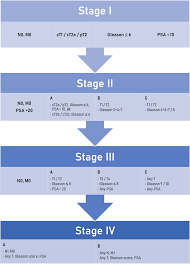 Image result for Prostate Cancer Staging