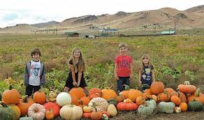 There are also so many amazing photo ops for those of us. Fall Pumpkin Patches In Reno