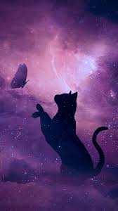 Maybe you would like to learn more about one of these? Anime Cat Wallpaper 4k