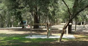 In the mornings, you can head into the clubhouse for a cup of coffee to start the day right. Florida Ocala Shangrala Camp Ground Itchy Feet And An Rv