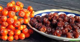 Kandierte Vogelbeeren Sussherbe Fruchtchen Zum Naschen Rezepte Hagebutten Rezepte Gutes Essen