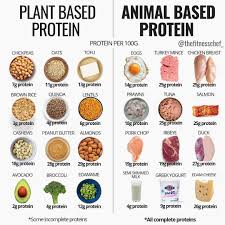 Plant Based Protein Animal Based Protein Diet And Nutrition Workout Food Food Source