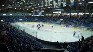 sudbury community arena wikipedia