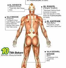 Bekam di kukuhkan allah sebagai pengobatan terbaik adalah ketika waktu isra' mi'raj, nabi melewati. Titik Bekam Angin Duduk Titik Bekam Dawahthibunnabawi Facebook