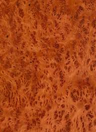 Redwood Burl Veneer Redwood Burl Burled Wood Wood Veneer