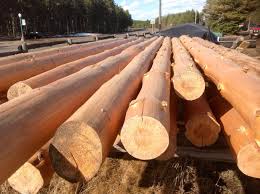Maybe you would like to learn more about one of these? Log And Timber Sales The Natural Log Homes