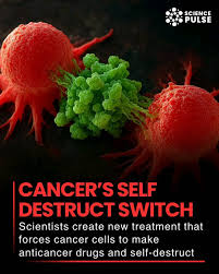 Protein switch turns cancer cells into self-destructive factories