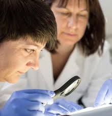 Corporate Responsibility Report 2021