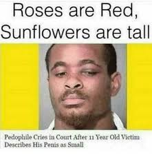 Sebastian will surely roast you! Roses Are Red Sunflowers Are Tall Meme Ahseeit
