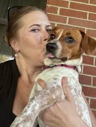 Lost friendly dog in Harden Road, Gdale area