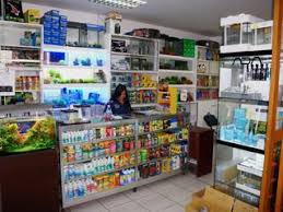 Ada Retailer Shop Pet Zone Philippines Ada Nature Aquarium Aqua Design Amano Co Ltd Aquarium Aqua Pets