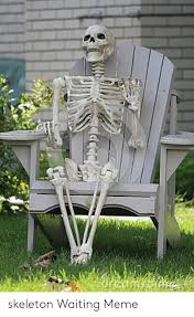 Sitting on a kitchen countertop, standing within a large houseplant, or chilling. Skeleton Memes Waiting