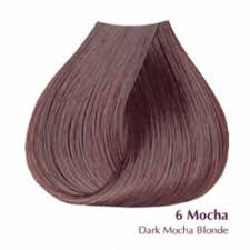 Understanding The Background Of Mocha Hair Color Chart