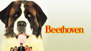Beethoven is a 1992 american family comedy film, directed by brian levant and starring charles grodin and bonnie hunt as george and alice newton, respectively. Beethoven Hollywood Suite