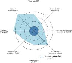 Frontiers A New Cognitive Evaluation Battery For Down