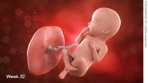 To transform 1800 kilograms into pounds, you just need to multiply the quantity in kilograms by the conversion factor, 2.204622622. Week 32 For Parents Nemours Kidshealth