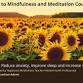 Introduction to Mindfulness and Meditation 4 week event image