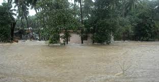 Image result for kerla flood