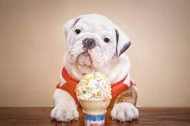 Maybe you would like to learn more about one of these? Can Dogs Eat Ice Cream Southern Living