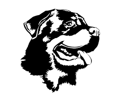 Download Rottweiler Car Decal Vinyl Sticker Love Rotties Rotti Head In 2021 Car Decals Vinyl Rottweiler Tattoo Rottweiler
