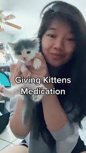 Giving Kittens Medication #tiktoktaughtme #tiktokpartner #fosterkitten #fyp  #foryoupage #fypシ#fosterkittensoftiktok #animals #animallover #kittens  #kittensoftiktok #kittenrescue #spring #animalwelfare ...
