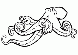 For boys and girls, kids and adults, teenagers and toddlers, preschoolers and older kids at school. Octopus Coloring Page Coloring Home