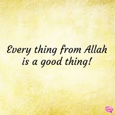 247 Islamic Dp Islamic Whatsapp Dp Islamic Images For Whatsapp Dp Whatsapp dp (display pictures) can be used as a status of your mood for the day. islamic images for whatsapp dp
