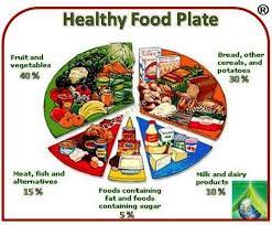 That makes meal planning pretty easy, but once that child begins eating solid foods, you have to make sure what you serve is nutritious and well. Complete Guide To Weight Reduction Part 2 Of 3 Healthy Food Plate Shows The Different Types Of Food We Group Meals Food Groups For Kids Healthy Food Plate