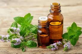 In a 2014 animal study, topical application of peppermint oil for four weeks showed prominent hair growth effects, increasing dermal. Peppermint Oil Benefits Uses On Natural Hair Loving Kinky Curls
