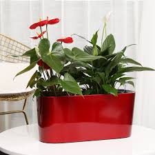 You have the choice of different types of paints and designs to create a unique flower planter. Cube Lazy Self Absorbent Water Visual Creative Personality Paint Plastic Flower Pot For Home And Garden Plastic Flower Pots Flower Potflower Plastic Pot Aliexpress