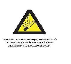 Organizační struktura a organizační řád mšmt. Profil Bastard Cz Data 21419 Navrhy Ministerstv