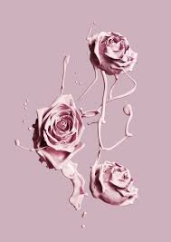 L Essence De L Homme Est Dans La Verite De L Etre Papier Peint A Fleurs Fond D Ecran Iphone Fond D Ecran Telephone