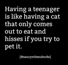 Becoming a parent enters you into a completely new and sometimes overwhelming world. 12 Of The Funniest Most Relatable Memes About Parenting Teens