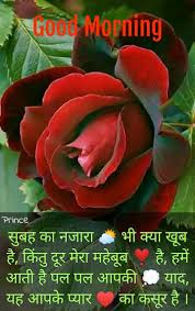 Sep 19, 2017 · not only does it stand as a reflection of innocence but also youth and purity. Pin By Prince Trivedi On Dil Ki Baten Hindi Good Morning Quotes Beautiful Good Night Quotes Good Night Quotes