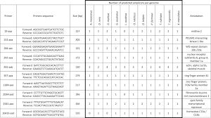 Novel Nuclear Barcode Regions For The Identification Of