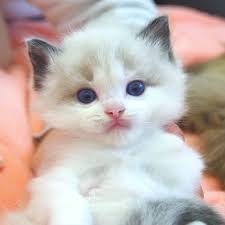 junyurt/ComfyUI-0309-LTX2.3 · Cloud Native Build