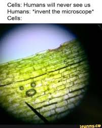 Cells Humans Will Never See Us Humans Invent The Microscope Cells Ifunny Funny Memes Pikachu Memes Biology Memes