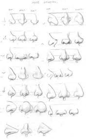 Learn How To How To Draw A Female Nose Online Drawing Lessons Nose Drawing Drawings Sketches How do i draw a nose if i don't have 2b, 4b or 6b pencils?