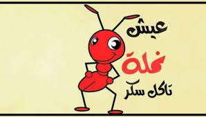 صورة