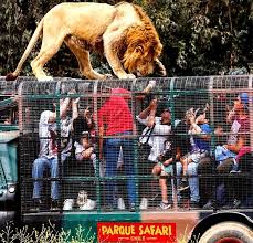 If you come to chile, you cannot miss these beautiful cities. Parque Safari Tours No Chile Like Chile Parceiros