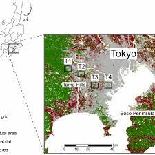 Tokyo Metropolitan Area Map Map Of The Study Area In The Tokyo Metropolitan Area Of Japan. Survey... |  Download Scientific Diagram