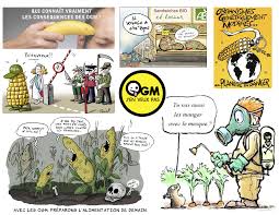 Asst Cartoons To Help Students Understand The French Pov On Gmos Cartoon Pov Understanding