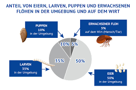 Flohbekampfung Schnell Effektiv Und Dauerhaft