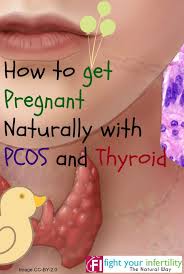 How To Get Pregnant Naturally With Pcos And Thyroid